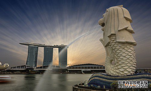 注册新加坡商标的步骤