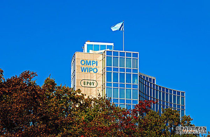 马德里商标国际注册申请常见的问题