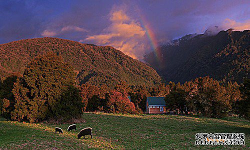 如何在新西兰注册商标？
