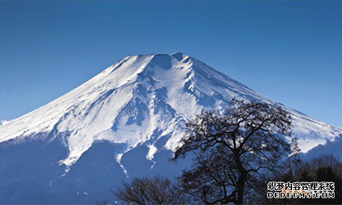 日本商标注册 日本商标注册