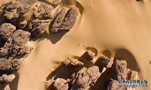 非洲商标注册 非洲商标注册