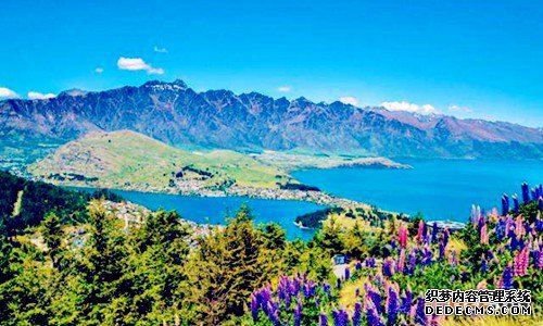 新西兰商标注册 新西兰商标注册