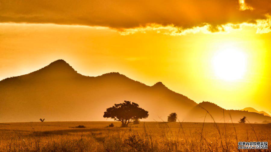 非洲地区工业产权组织 非洲地区工业产权组织