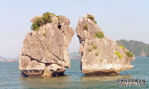 申请新西兰商标注册的流程 申请新西兰商标注册的流程