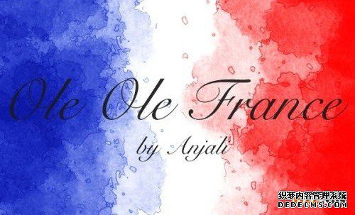 注册法国商标的官费需要多少钱? 注册法国商标的官费需要多少钱?