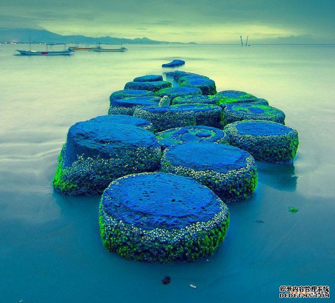 印度商标注册 印度商标注册