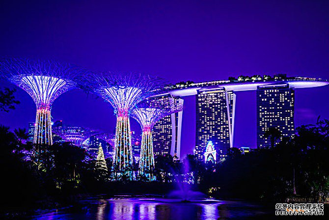 新加坡商标注册