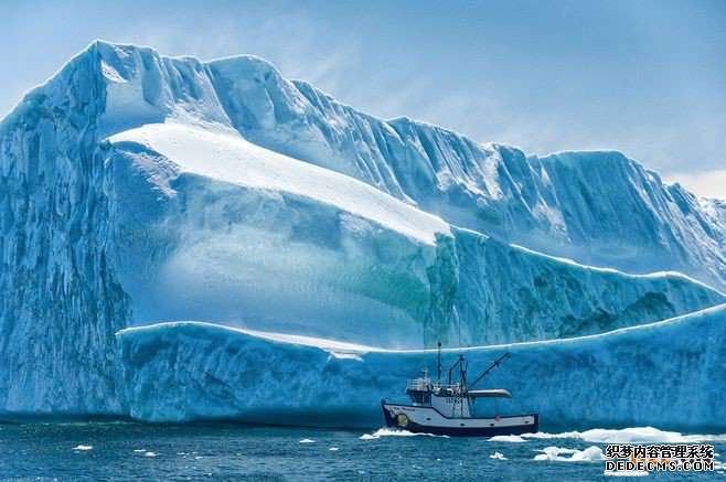 申请加拿大商标