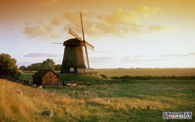 荷兰商标注册 荷兰商标注册