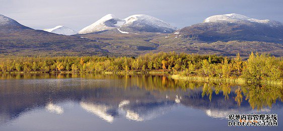 越南商标 越南商标