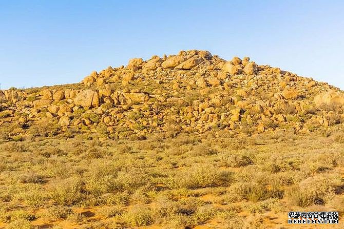 南非商标 南非商标