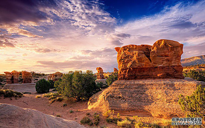 丹麦商标 丹麦商标