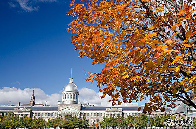 加拿大商标注册 加拿大商标注册