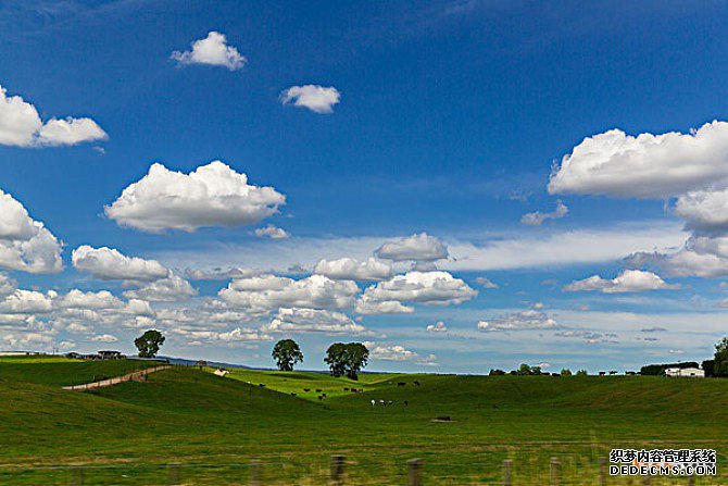 新西兰商标注册 新西兰商标注册