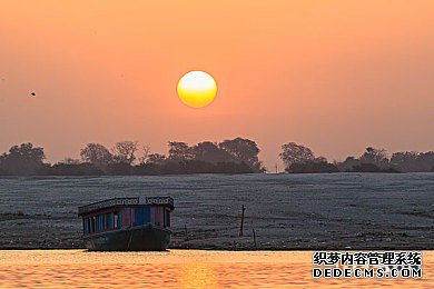 印度商标 印度商标