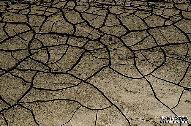 日本商标注册 日本商标注册