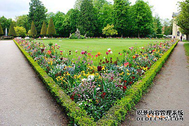 比荷卢商标 比荷卢商标