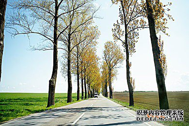 比荷卢商标 比荷卢商标