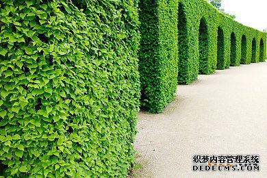 比荷卢商标 比荷卢商标