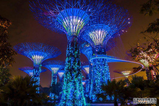 新加坡商标注册