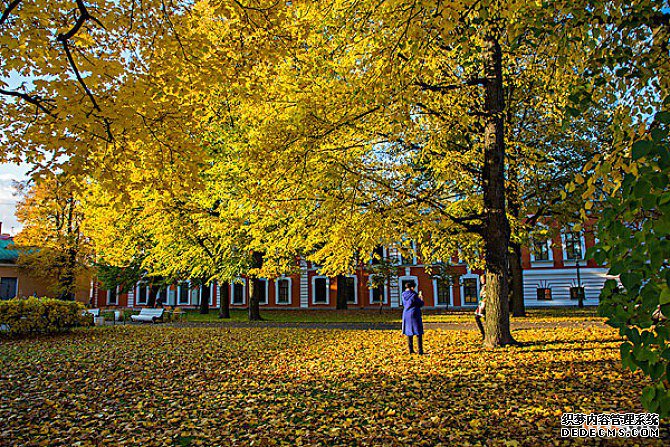 俄罗斯商标注册