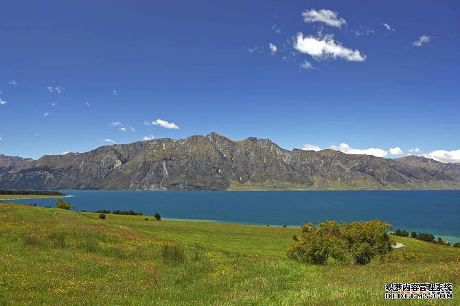 新西兰商标注册